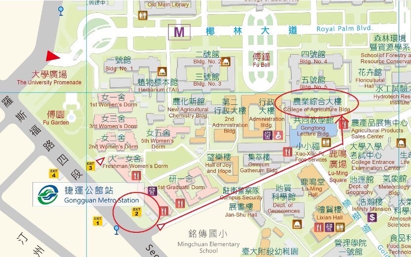 這是一張圖片
